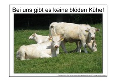 Blöde-Kuh-1.pdf
